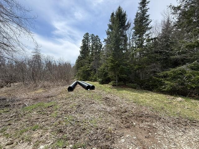 Lot 5 Holmes Bay Farms Road Whiting, ME 04691 - Photo 5 of 23 IMG_9110