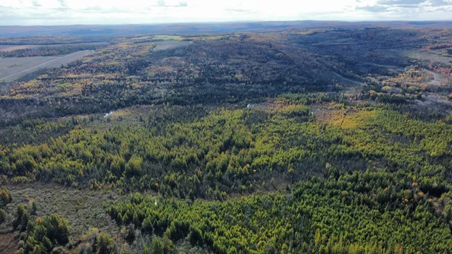 $45,000 | Lot 32 Alexander Road, Van Buren, ME 04785