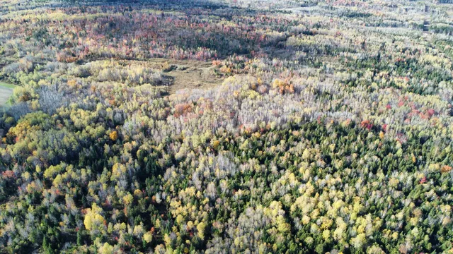 $45,000 | Lot 32 Alexander Road, Van Buren, ME 04785