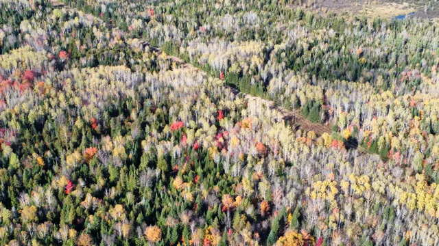 $45,000 | Lot 32 Alexander Road, Van Buren, ME 04785