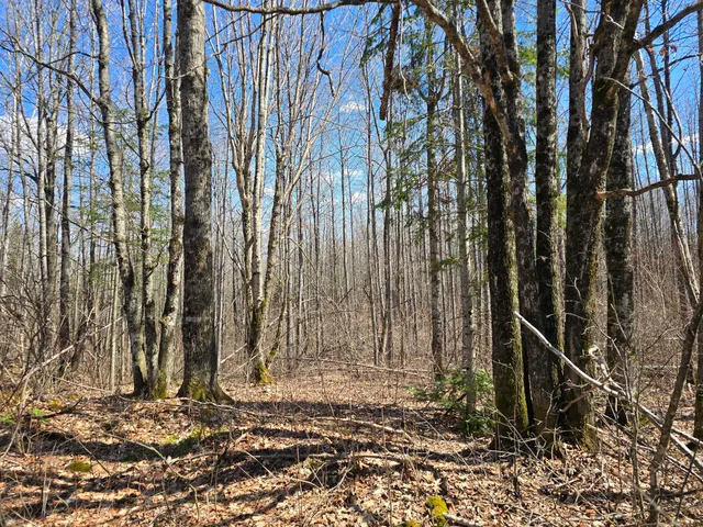 $45,000 | Lot 32 Alexander Road, Van Buren, ME 04785