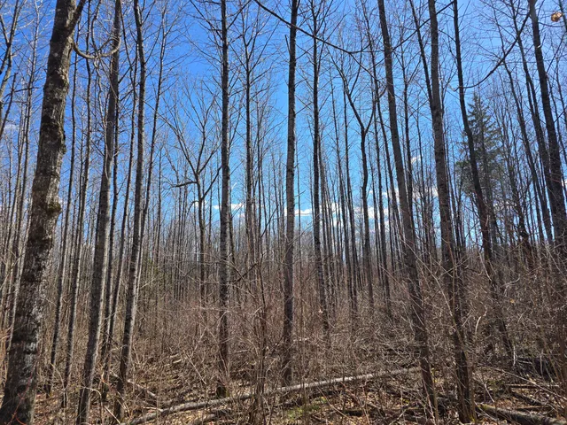 $45,000 | Lot 32 Alexander Road, Van Buren, ME 04785