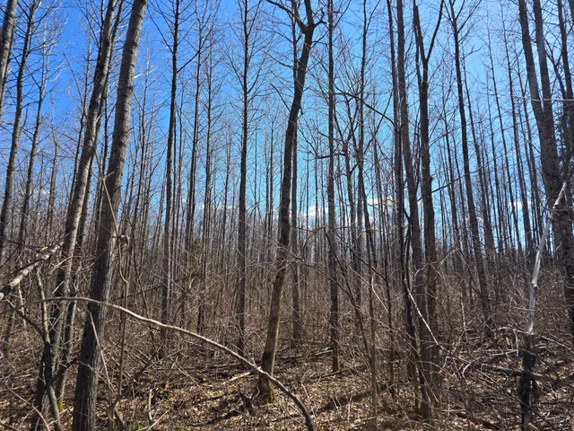 $45,000 | Lot 32 Alexander Road, Van Buren, ME 04785