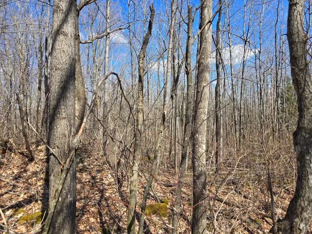 $45,000 | Lot 32 Alexander Road, Van Buren, ME 04785