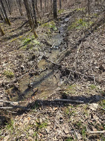 $45,000 | Lot 32 Alexander Road, Van Buren, ME 04785