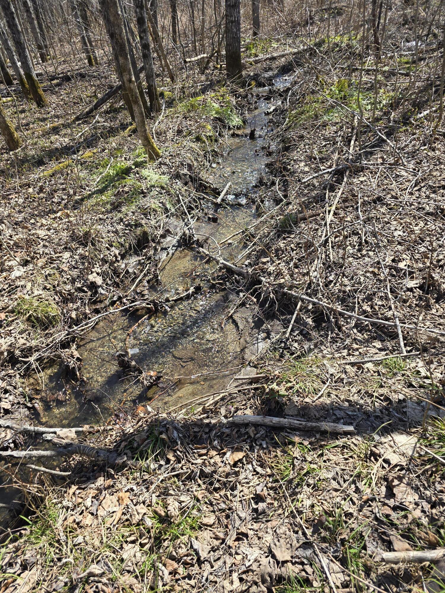 Lot 32 Alexander Road Van Buren, ME 04785 - Photo 21 of 25 20250428_150157