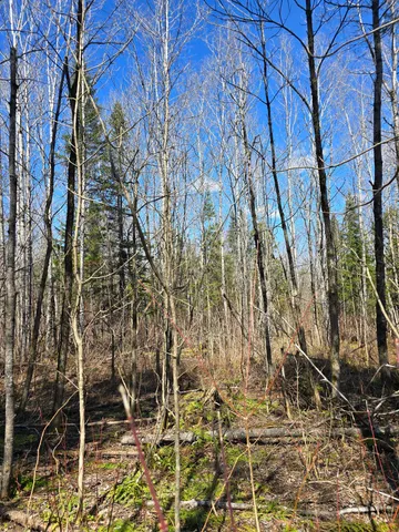 $45,000 | Lot 32 Alexander Road, Van Buren, ME 04785