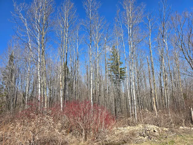 $45,000 | Lot 32 Alexander Road, Van Buren, ME 04785