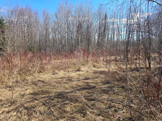 $45,000 | Lot 32 Alexander Road, Van Buren, ME 04785