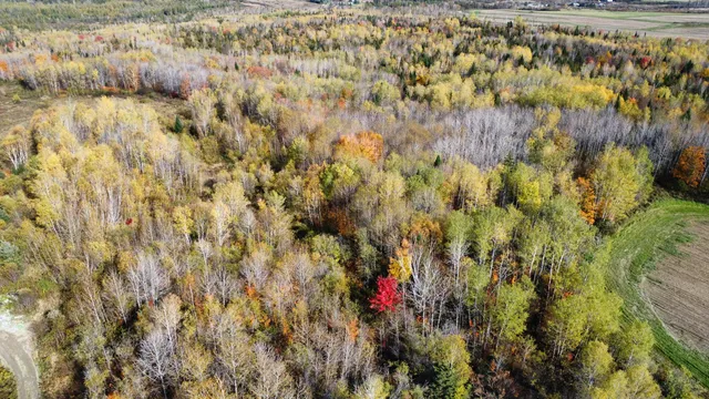 $45,000 | Lot 32 Alexander Road, Van Buren, ME 04785