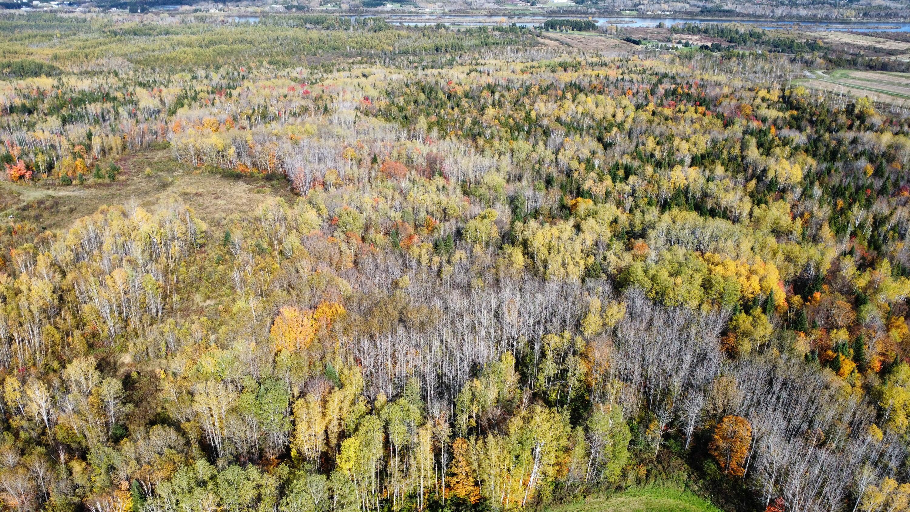 Lot 32 Alexander Road Van Buren, ME 04785 - Photo 6 of 25 dji_fly_20241009_150808_684_172849750274