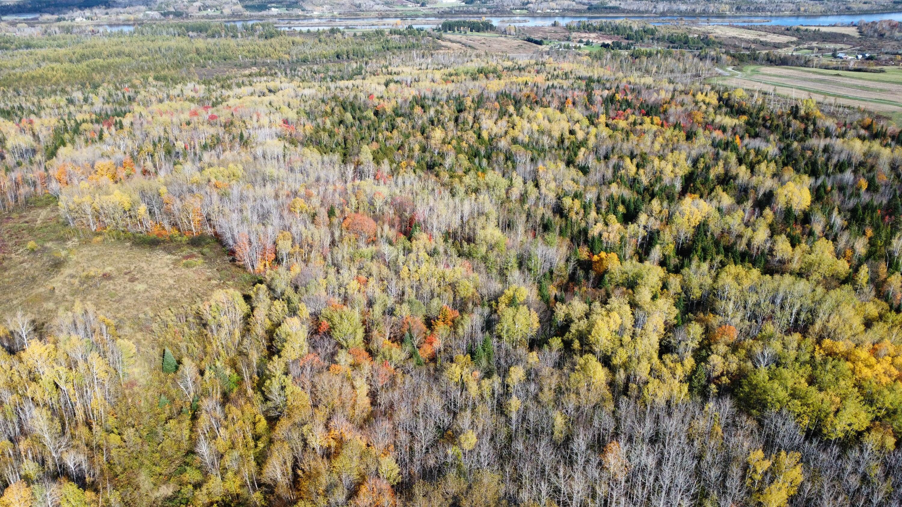 Lot 32 Alexander Road Van Buren, ME 04785 - Photo 7 of 25 dji_fly_20241009_150820_685_172849747903