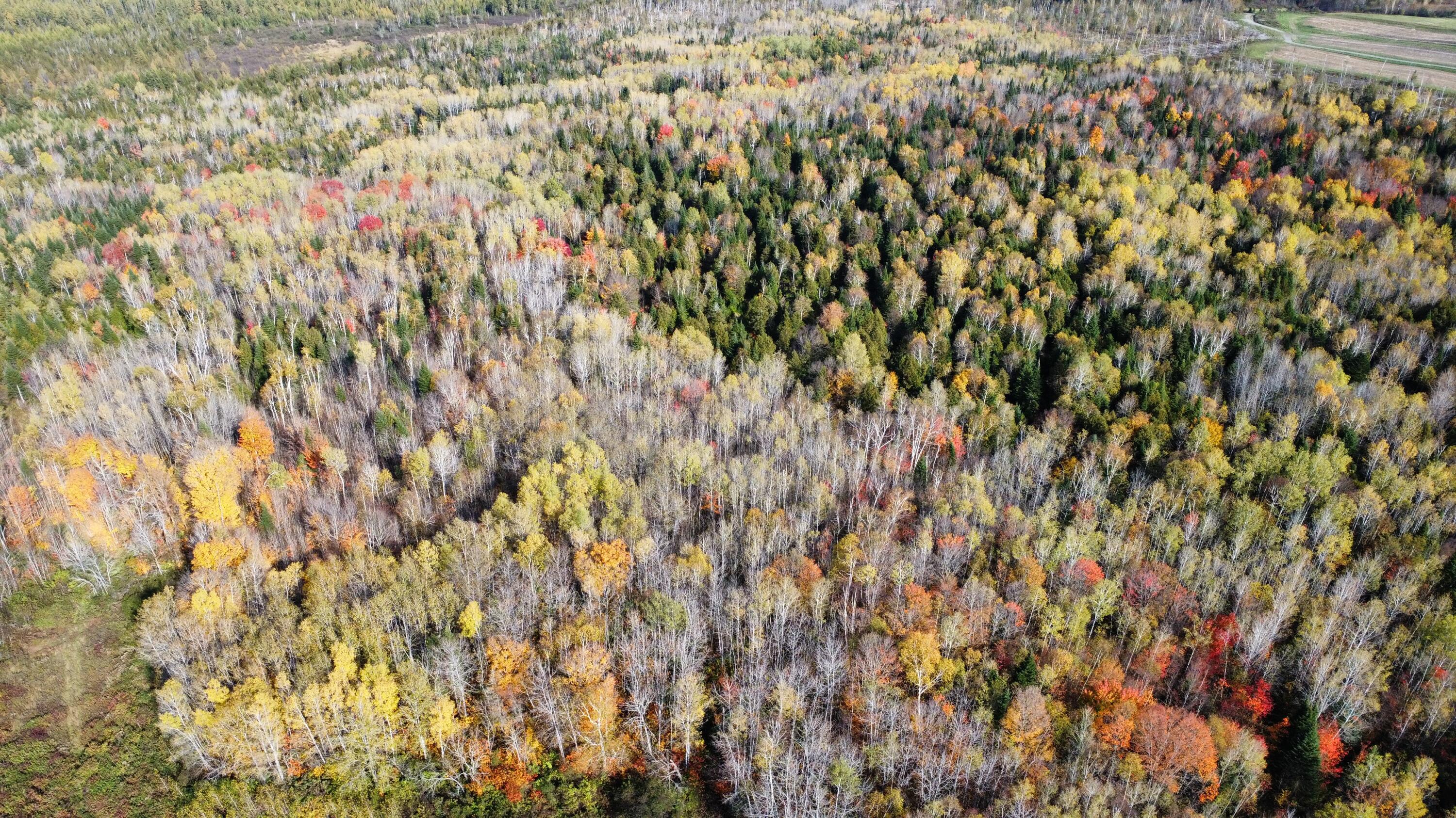 Lot 32 Alexander Road Van Buren, ME 04785 - Photo 8 of 25 dji_fly_20241009_150840_686_172849753776