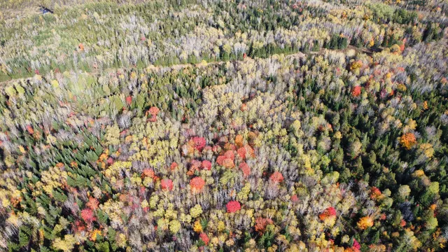 $45,000 | Lot 32 Alexander Road, Van Buren, ME 04785