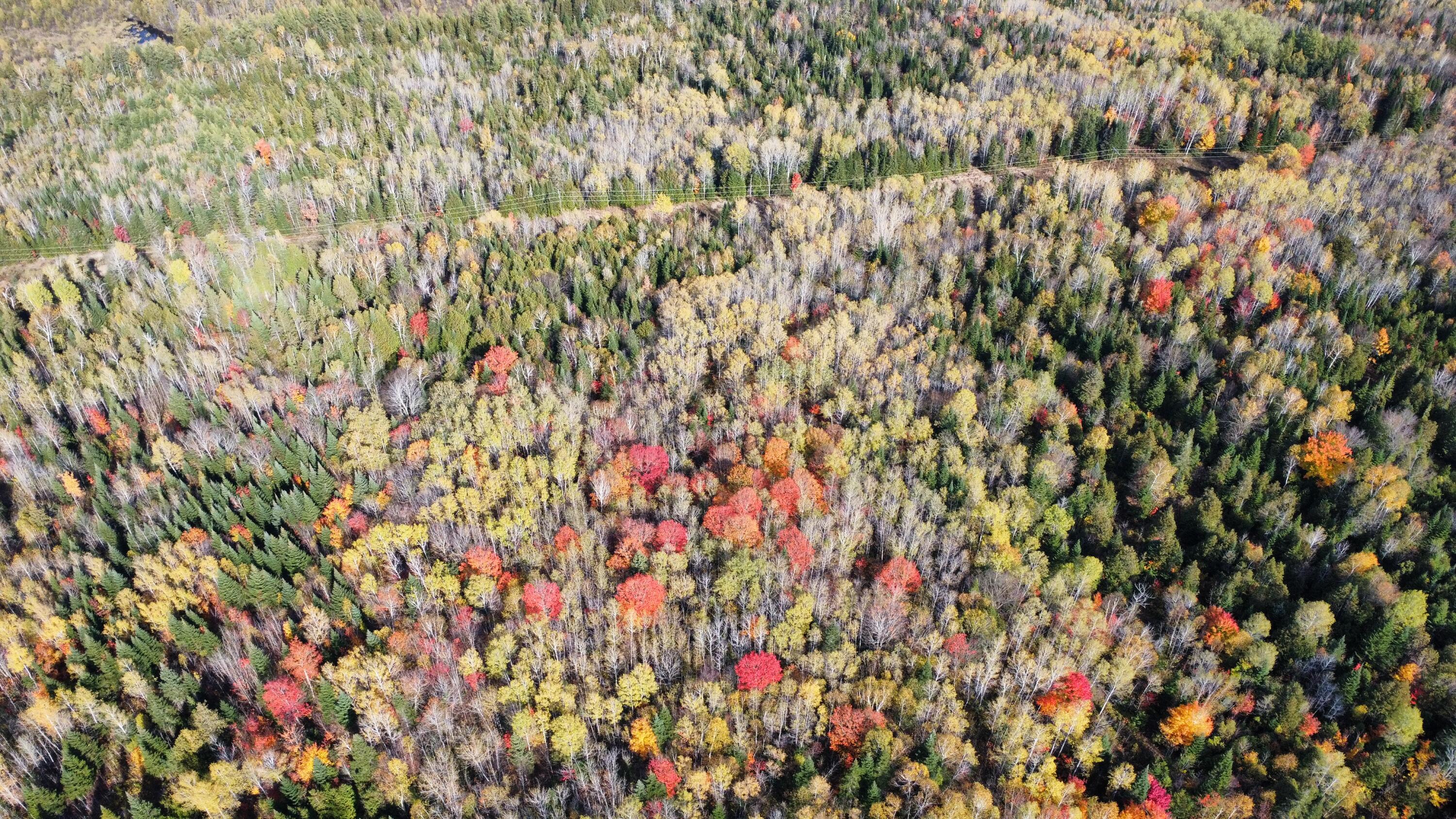 Lot 32 Alexander Road Van Buren, ME 04785 - Photo 9 of 25 dji_fly_20241009_150932_689_172849760932