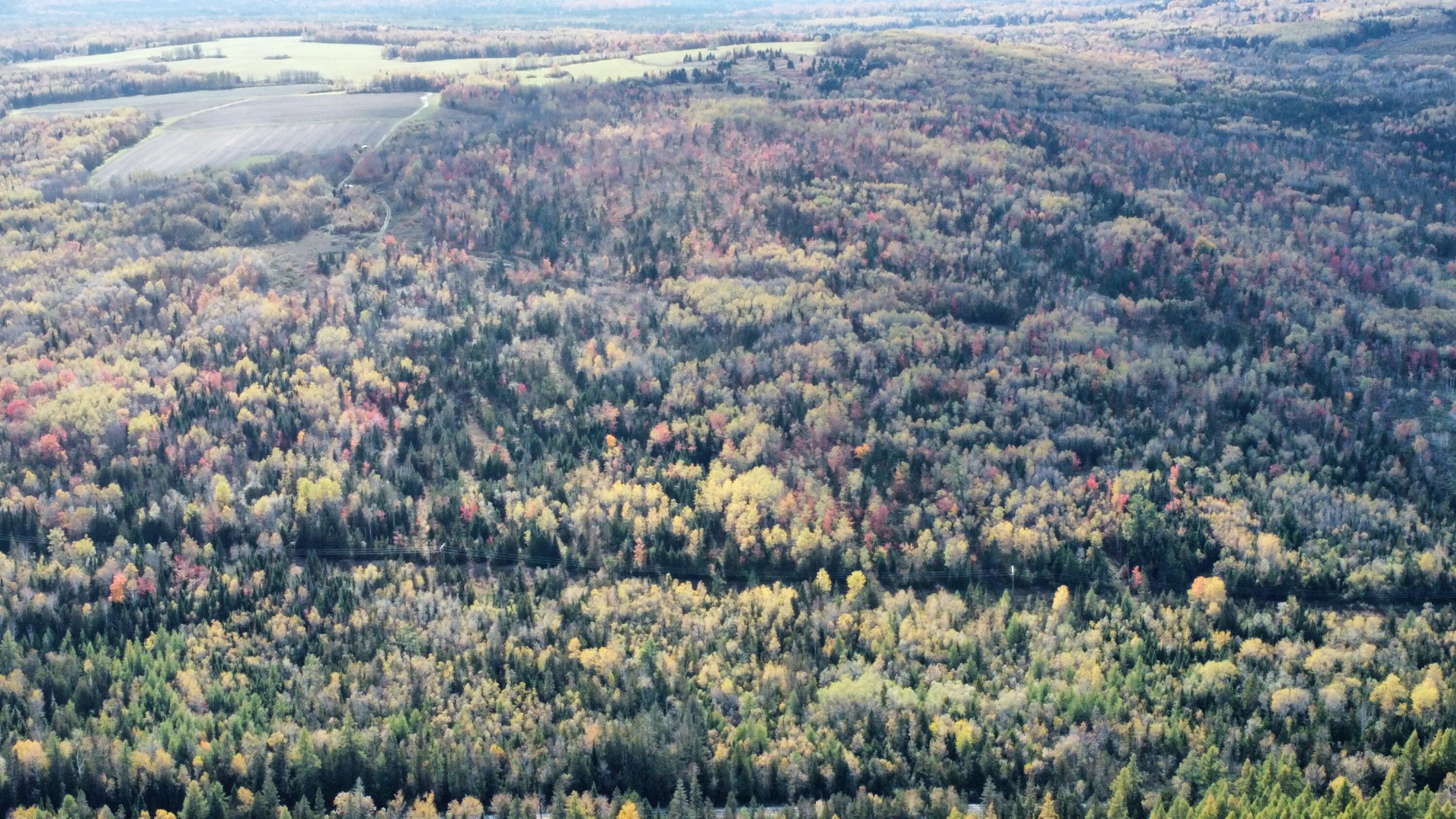 Lot 32 Alexander Road Van Buren, ME 04785 - Photo 10 of 25 dji_fly_20241009_151144_696_172849799199