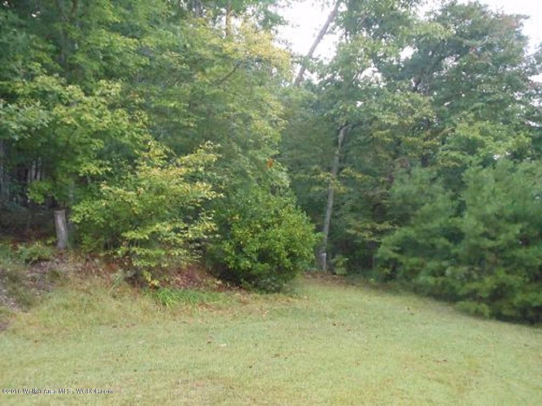 Lot#12 County Road Bremen, AL 35033 - Photo 4 of 6 Gallery Image 4