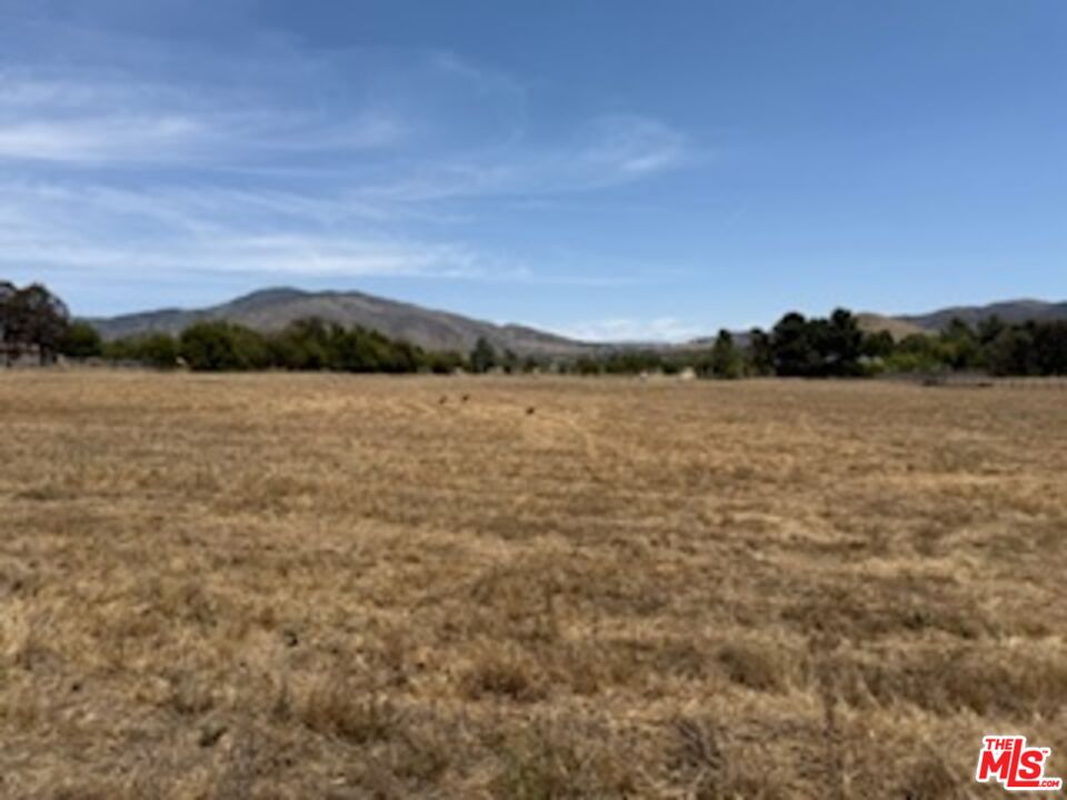 -rd Rd Vic Hierba Buckhaven Road Agua Dulce, CA 91390 - Photo 2 of 13