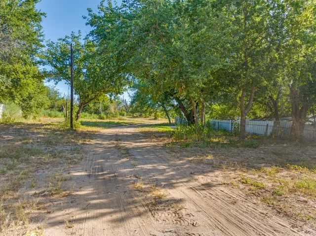 a view of a yard with plants and trees