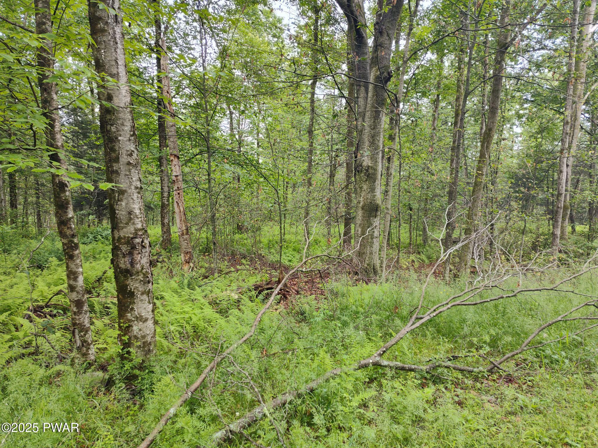 Lot 109 Aka) Gibralter Road Newfoundland, PA 18445 - Photo 13 of 19