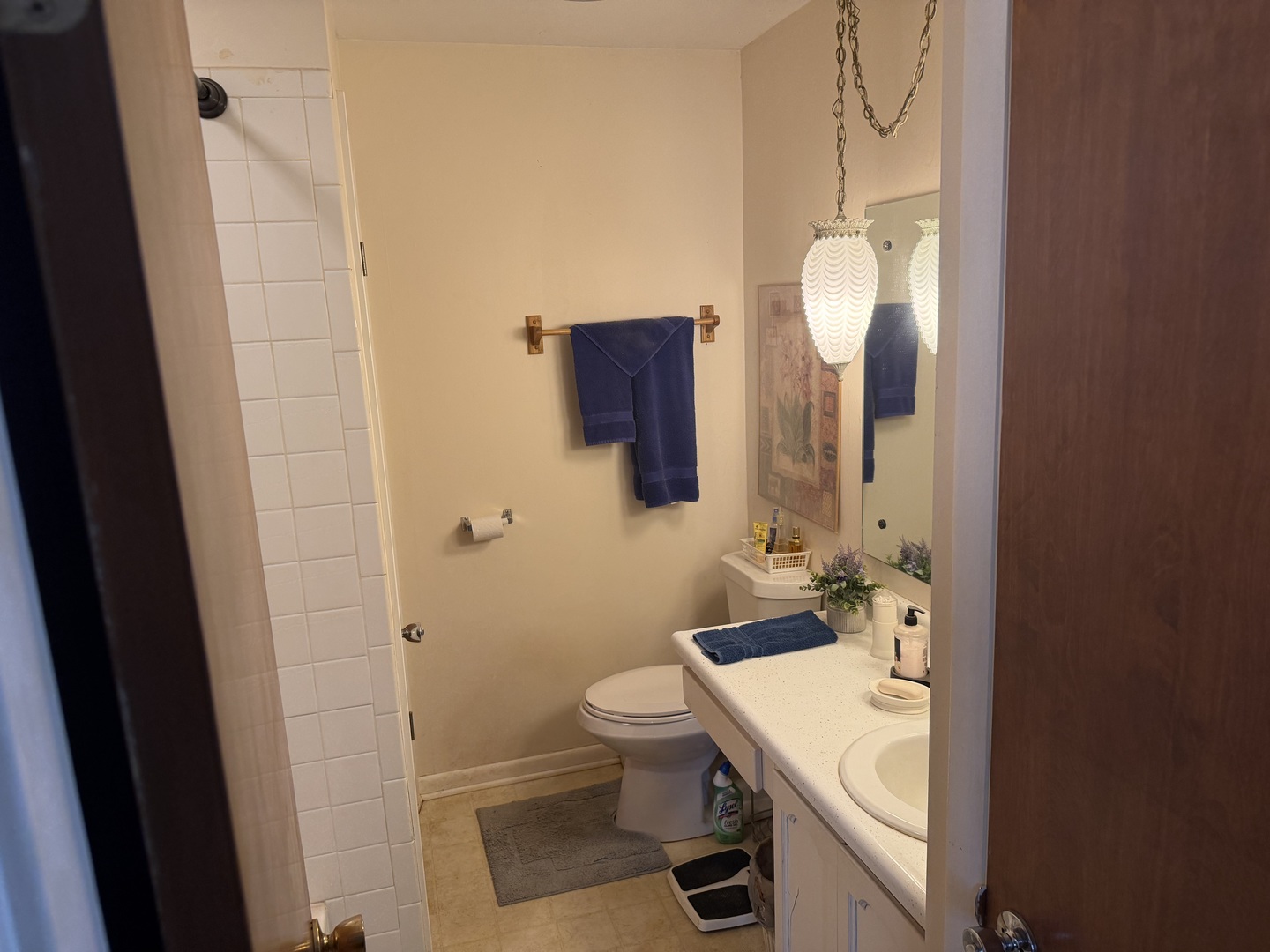 54 Jon Street Metropolis, IL 62960 - Photo 17 of 33