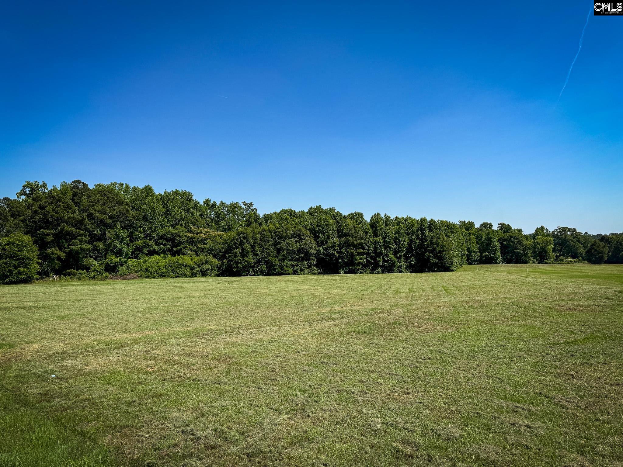 0 Shealy Road, Unit LOT 3 Batesburg, SC 29006 - Photo 2 of 16 a view of outdoor space and yard