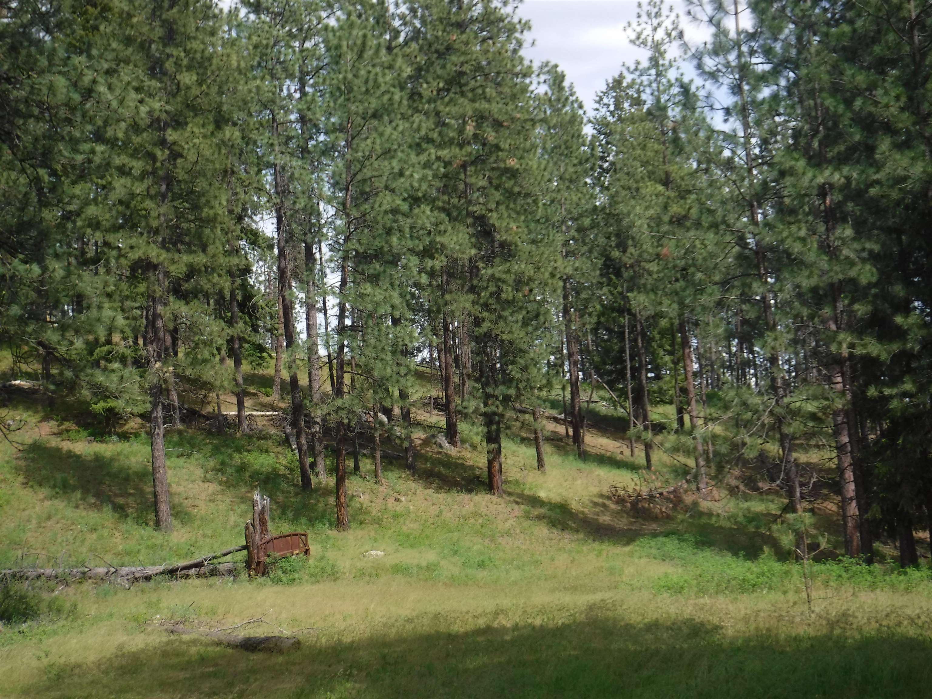 Xx East Woolard Road Colbert, WA 99005 - Photo 12 of 23