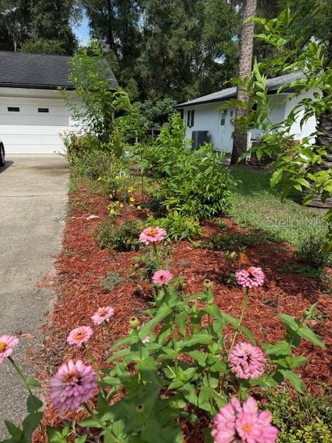 3550 South Dean Terrace Inverness, FL 34452 - Photo 34 of 37 a view of yard with green space