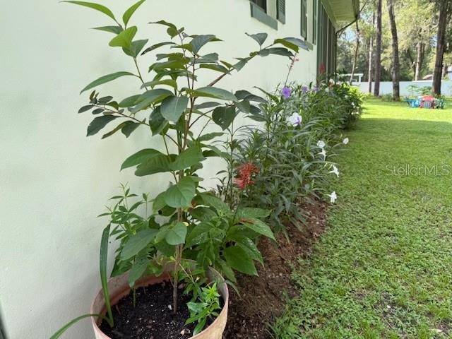 3550 South Dean Terrace Inverness, FL 34452 - Photo 37 of 37 a plant view with a garden