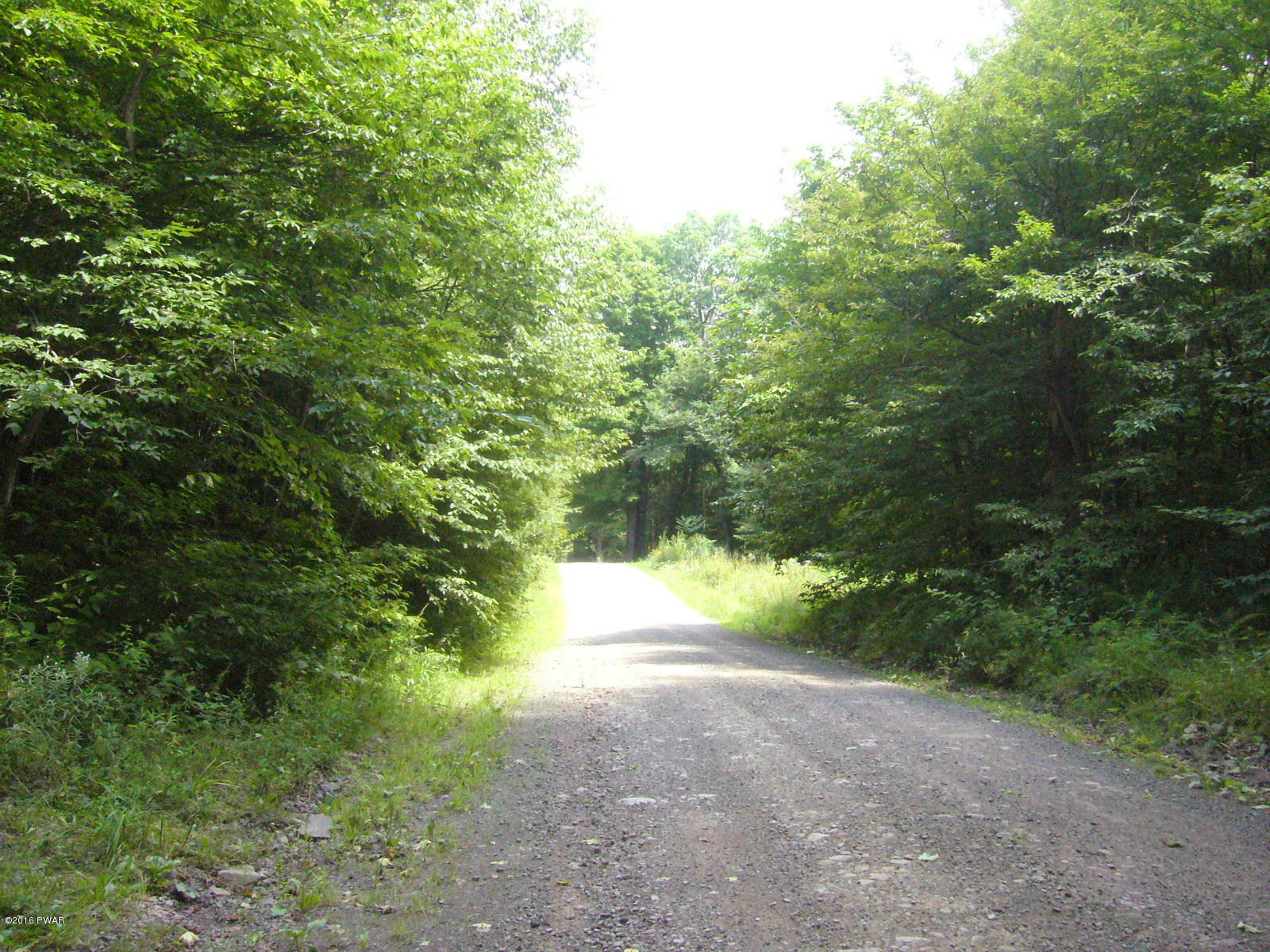 Willoway Road Starlight, PA 18461 - Photo 4 of 9