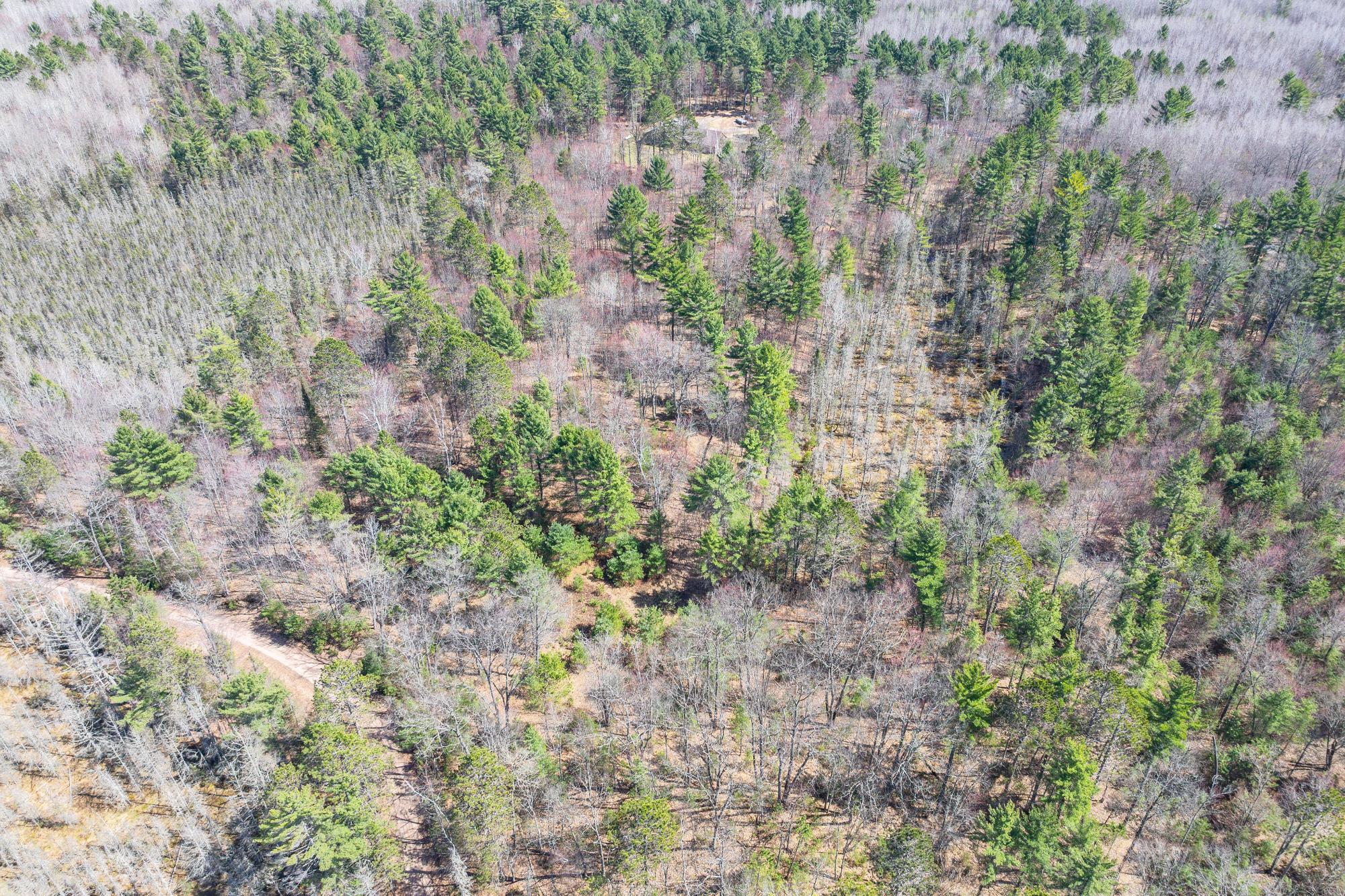 Off Zeman Road, Unit LOT 1 Eagle River, WI 54521 - Photo 5 of 7 Gallery Image 5