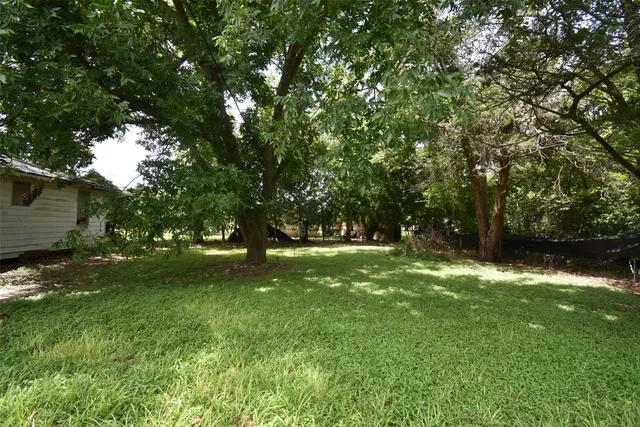 a view of yard with green space