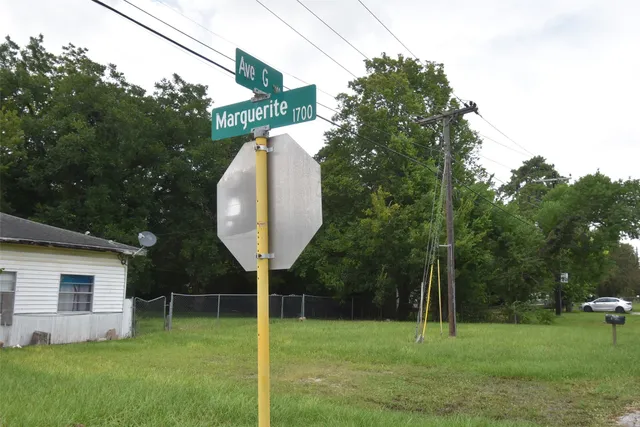a backyard of a house with palm trees