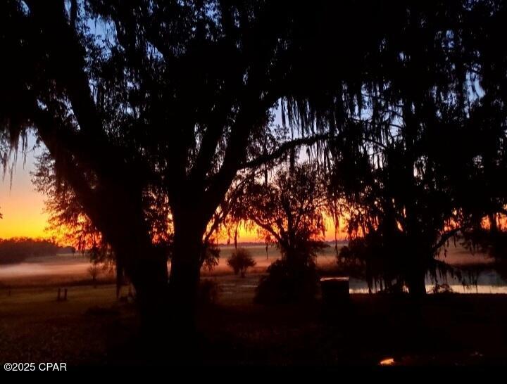 4686 Dunaway Road Bascom, FL 32423 - Photo 66 of 77