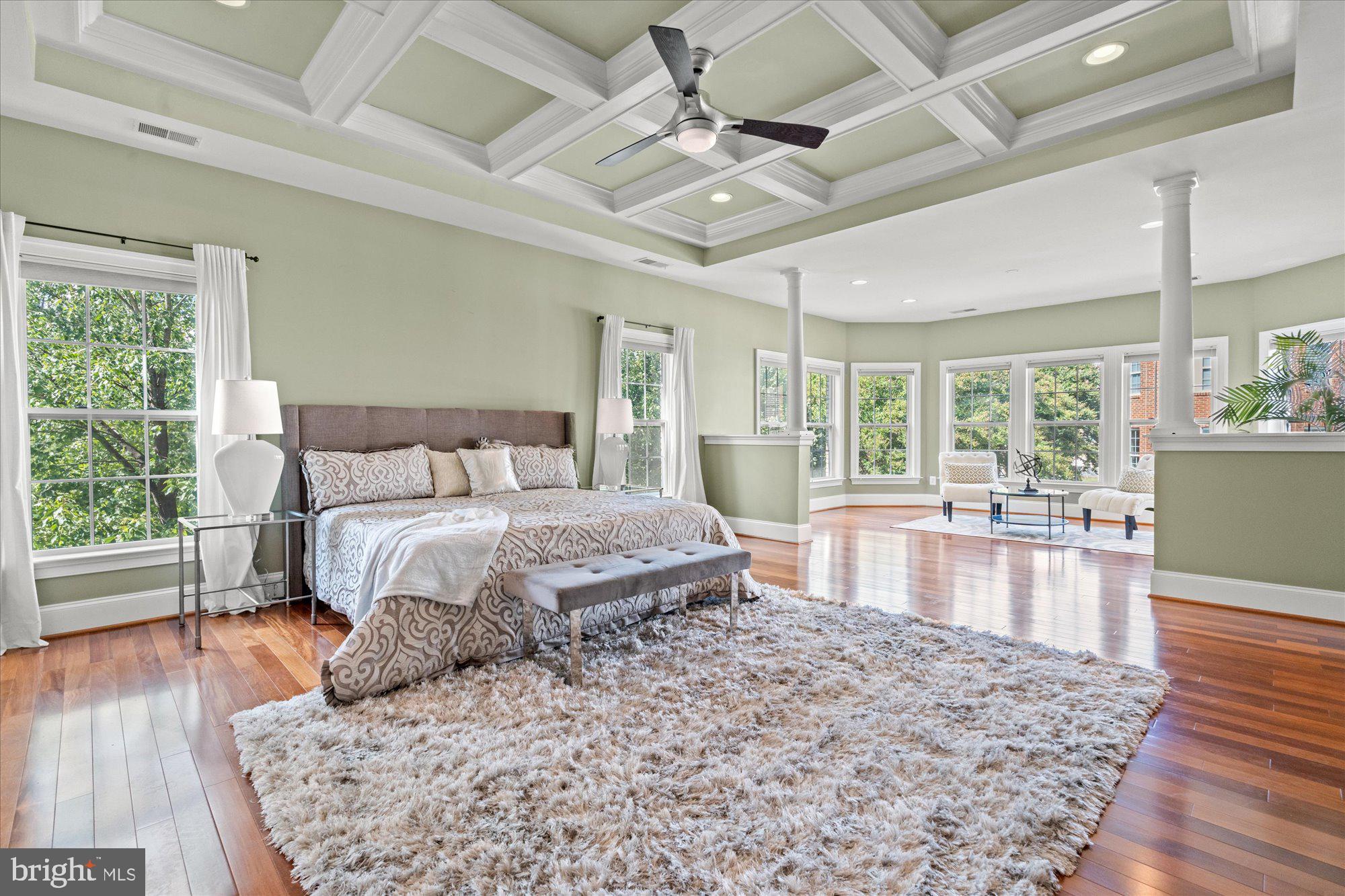 9300 Castle Hill Road Springfield, VA 22153 - Photo 29 of 60 Primary Bedroom with Coffered Ceilings