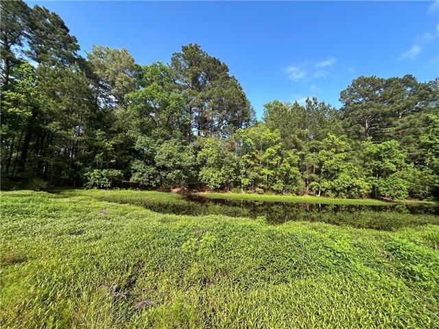 154 Lakeway Road Coushatta, LA 71019 - Photo 22 of 25