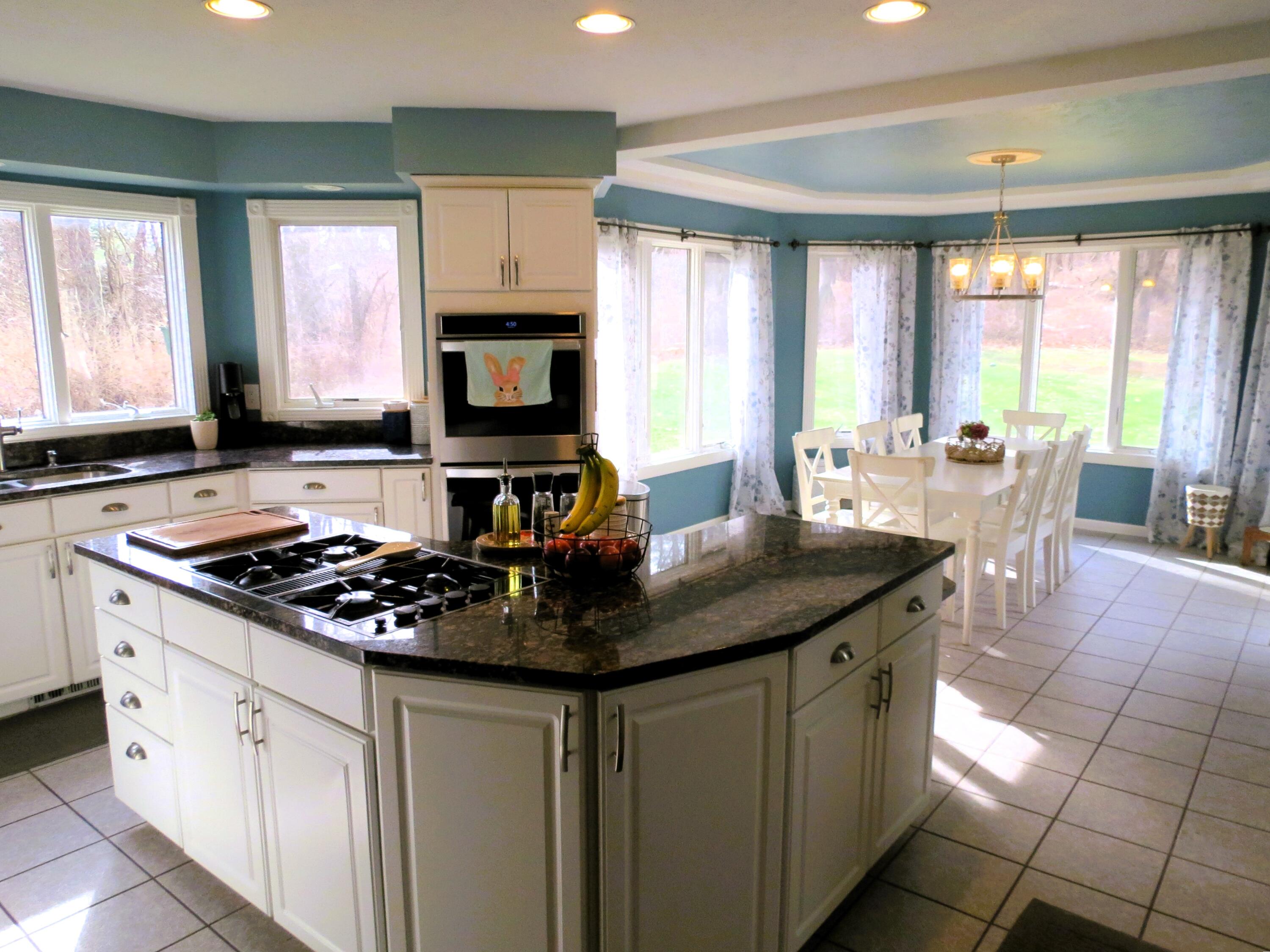 4922 Country Lane Jackson, MI 49201 - Photo 12 of 70 Chef's delight!