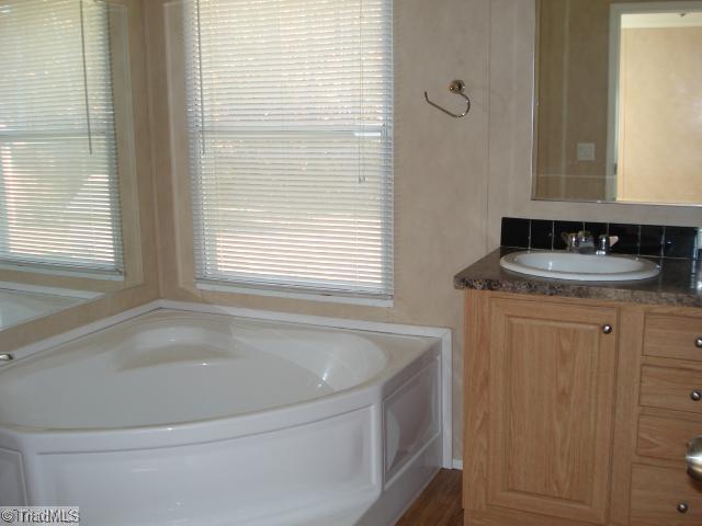 399 Lee Parks Road Lexington, NC 27292 - Photo 7 of 8 Master Bath/Spa.