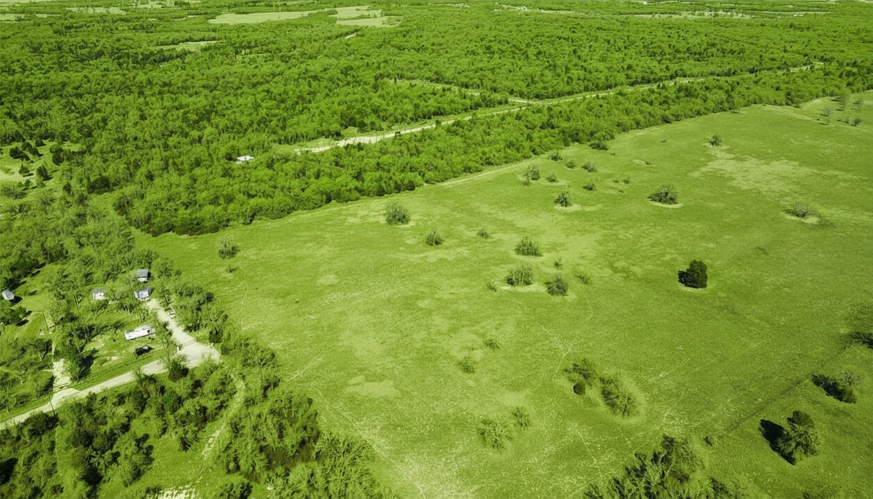 Lot 25 Oakview Lane Thrall, TX 76578 - Photo 11 of 11 a view of a large yard with green space