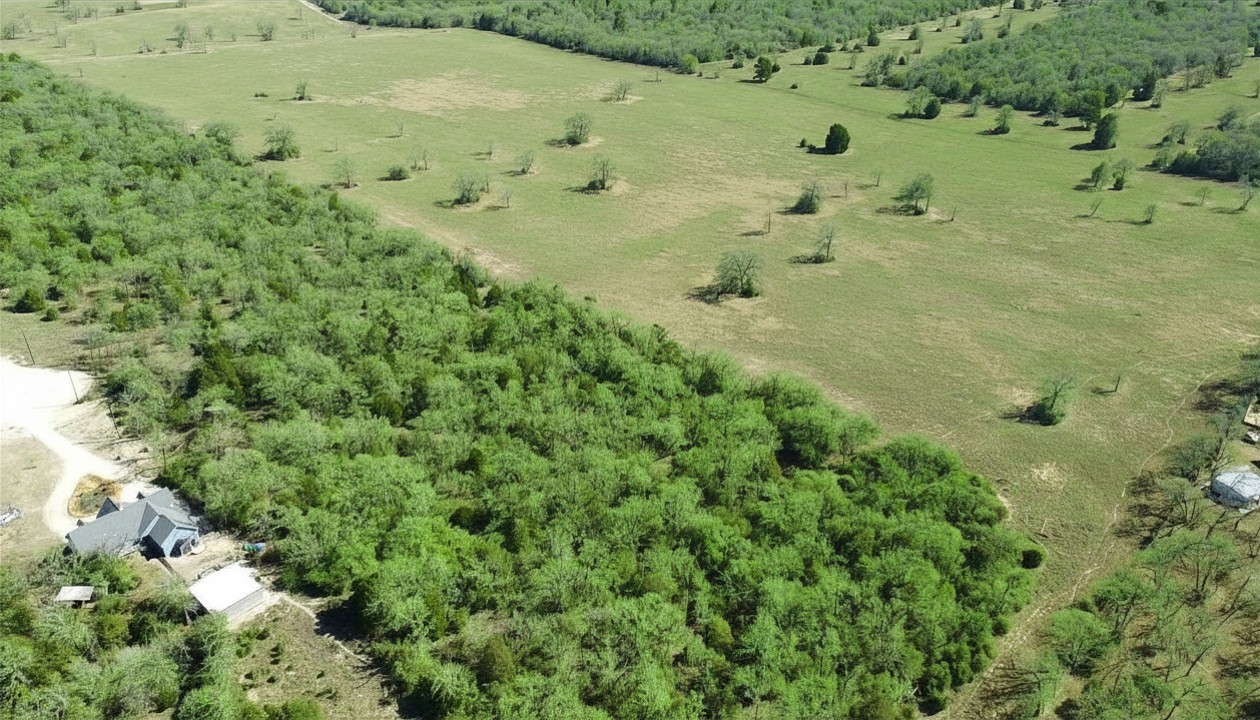 Lot 25 Oakview Lane Thrall, TX 76578 - Photo 5 of 11 a view of a bunch of trees and bushes