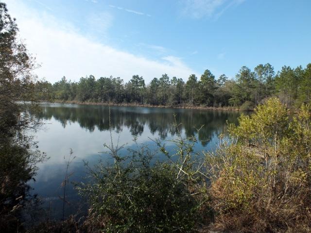 Lot 73 North Raphael Defuniak Springs DeFuniak Springs, FL 32433 - Photo 3 of 4 Gallery Image 3