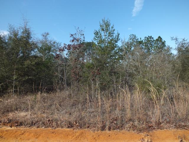 Lot 73 North Raphael Defuniak Springs DeFuniak Springs, FL 32433 - Photo 4 of 4 Gallery Image 4