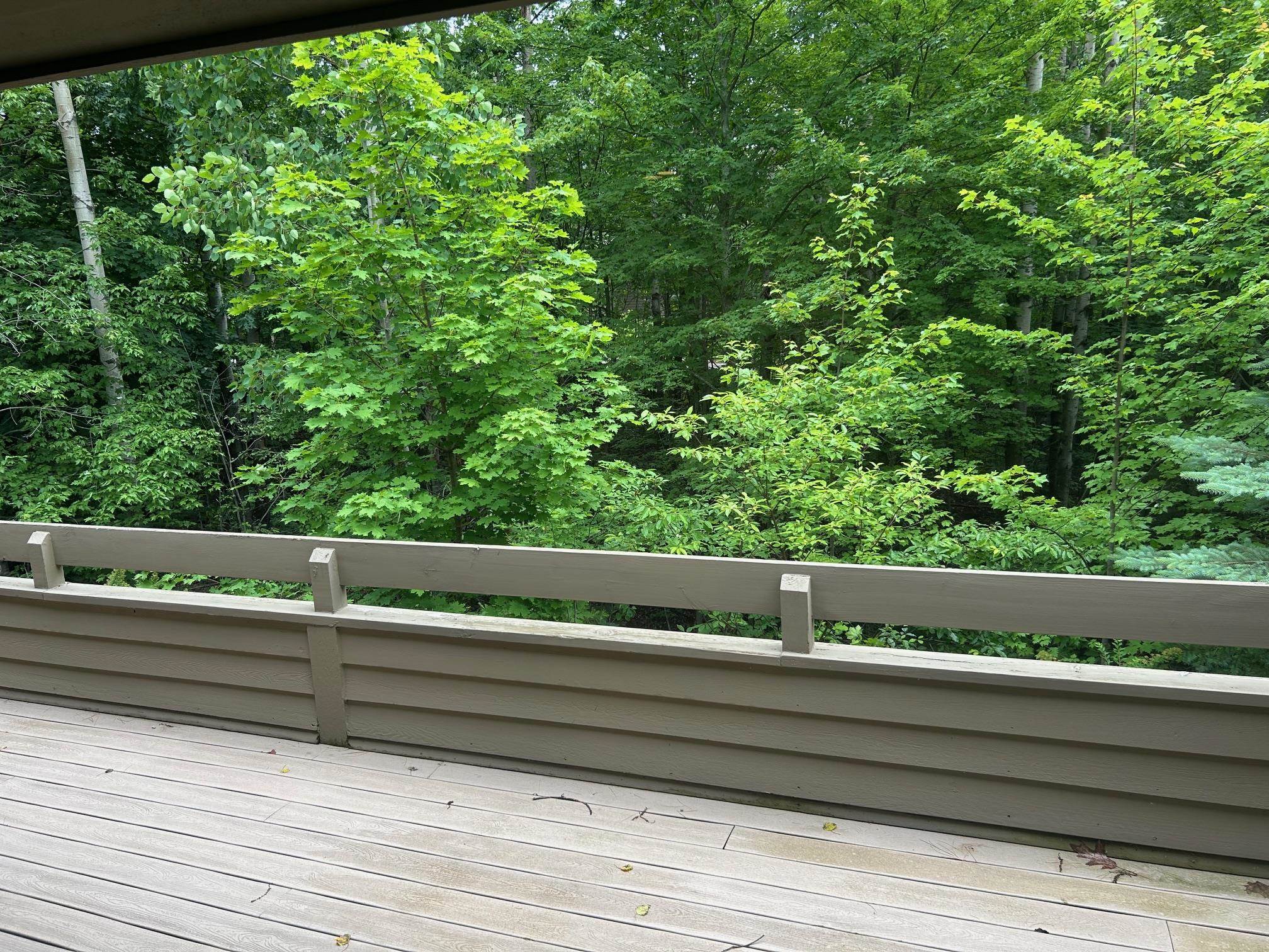 6556 Mission Ridge Traverse City, MI 49686 - Photo 27 of 50 1935905-4bc7a2da-1b76-4d02-bb8d-656b98d3ac78.JPG