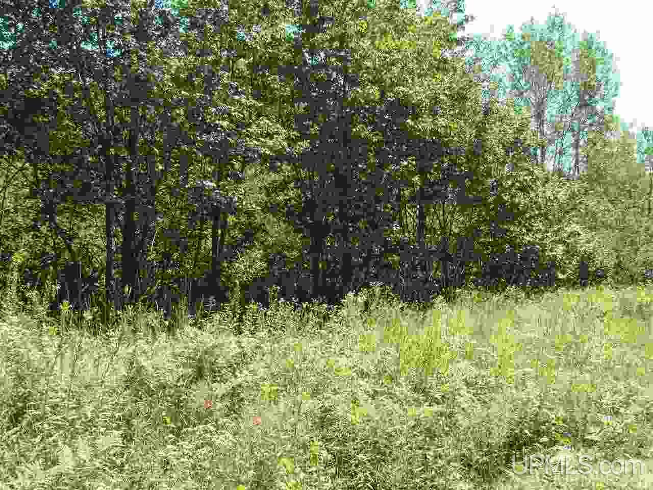 Tbd Point Abbaye Road Lanse, MI 49946 - Photo 13 of 16 Gallery Image 13