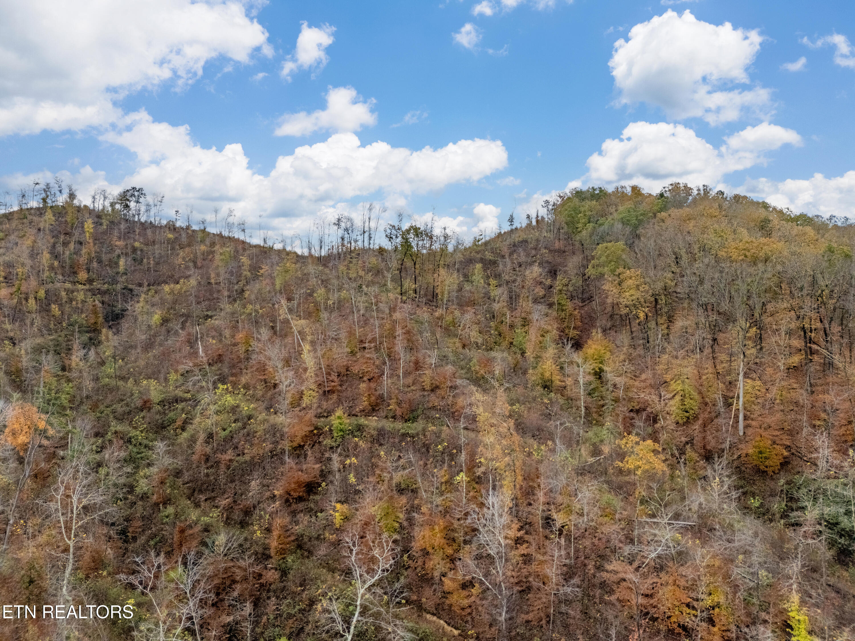 0 Lancer Road Harriman, TN 37748 - Photo 8 of 26 DJI_20241114154210_0146_D-HDR