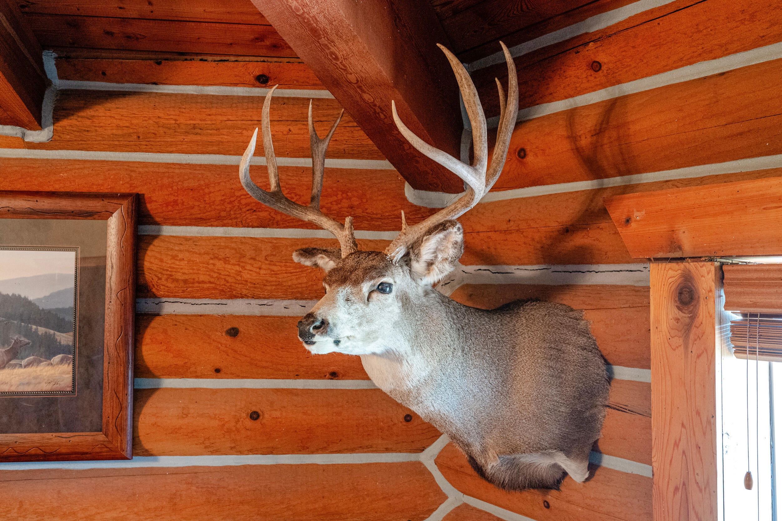 593 Lower Prairie Dog Road Sheridan, WY 82801 - Photo 112 of 142 593 lower praire dog 53