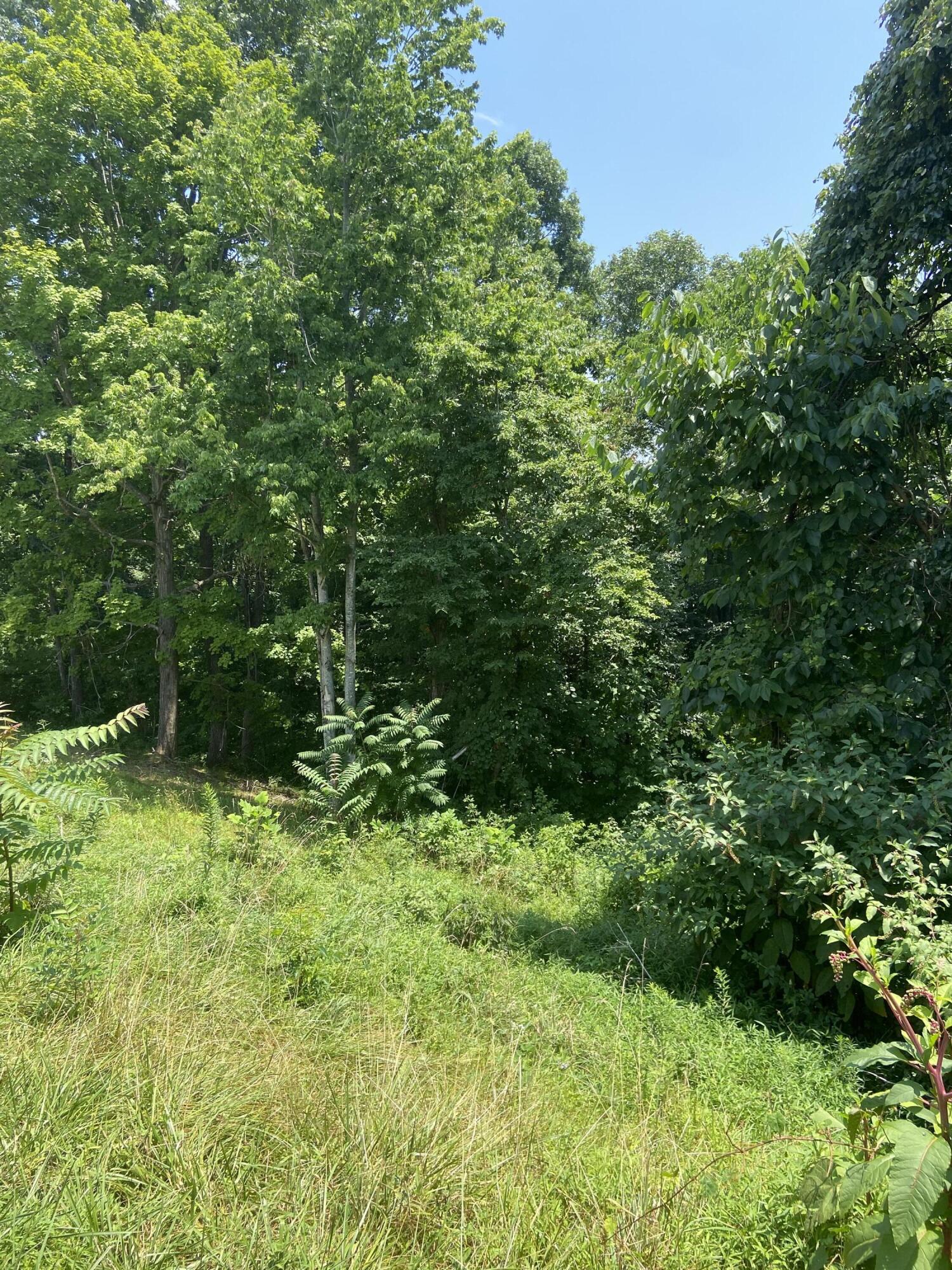 115 Powell Road McKee, KY 40447 - Photo 26 of 42 IMG-7211