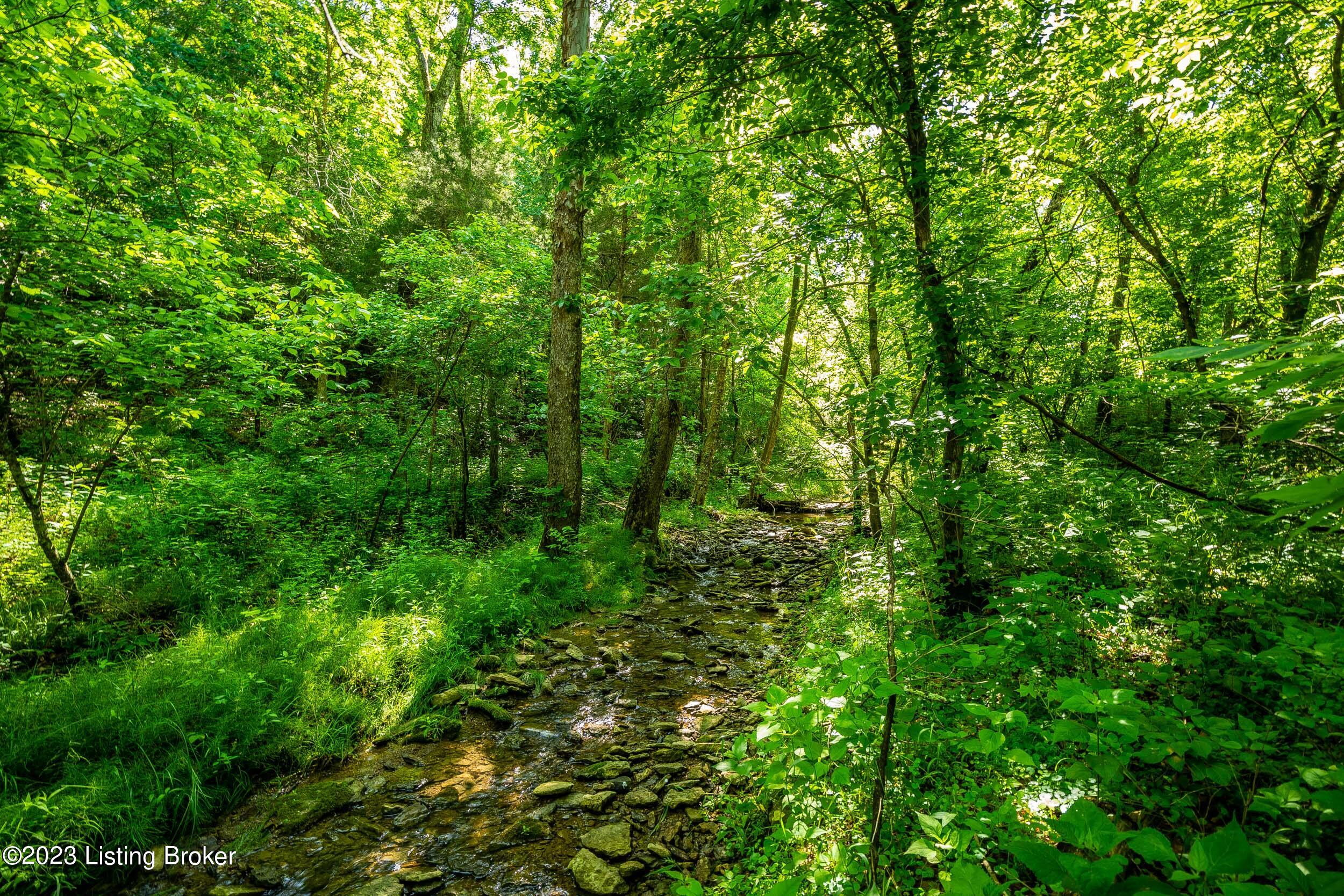 Lot 8 Rebel Ridge Road La Grange, KY 40031 - Photo 5 of 11 La Grange-04