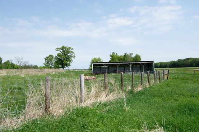 $479,000 | 41936 County 75, Bertha, MN 56437