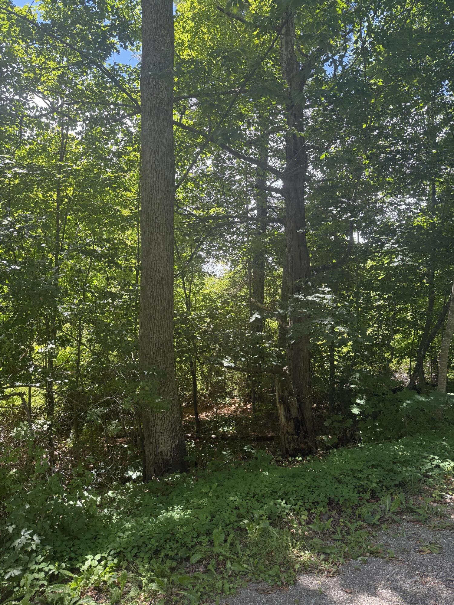 0 Patterson Hill Road, Unit LOT 2 Belfast, ME 04915 - Photo 4 of 4 IMG_1066